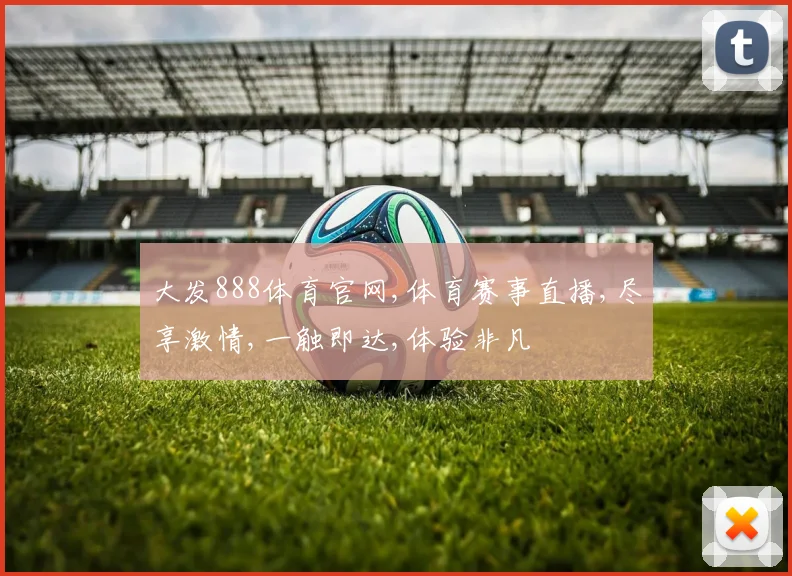 大发888体育官网,体育赛事直播,尽享激情,一触即达,体验非凡